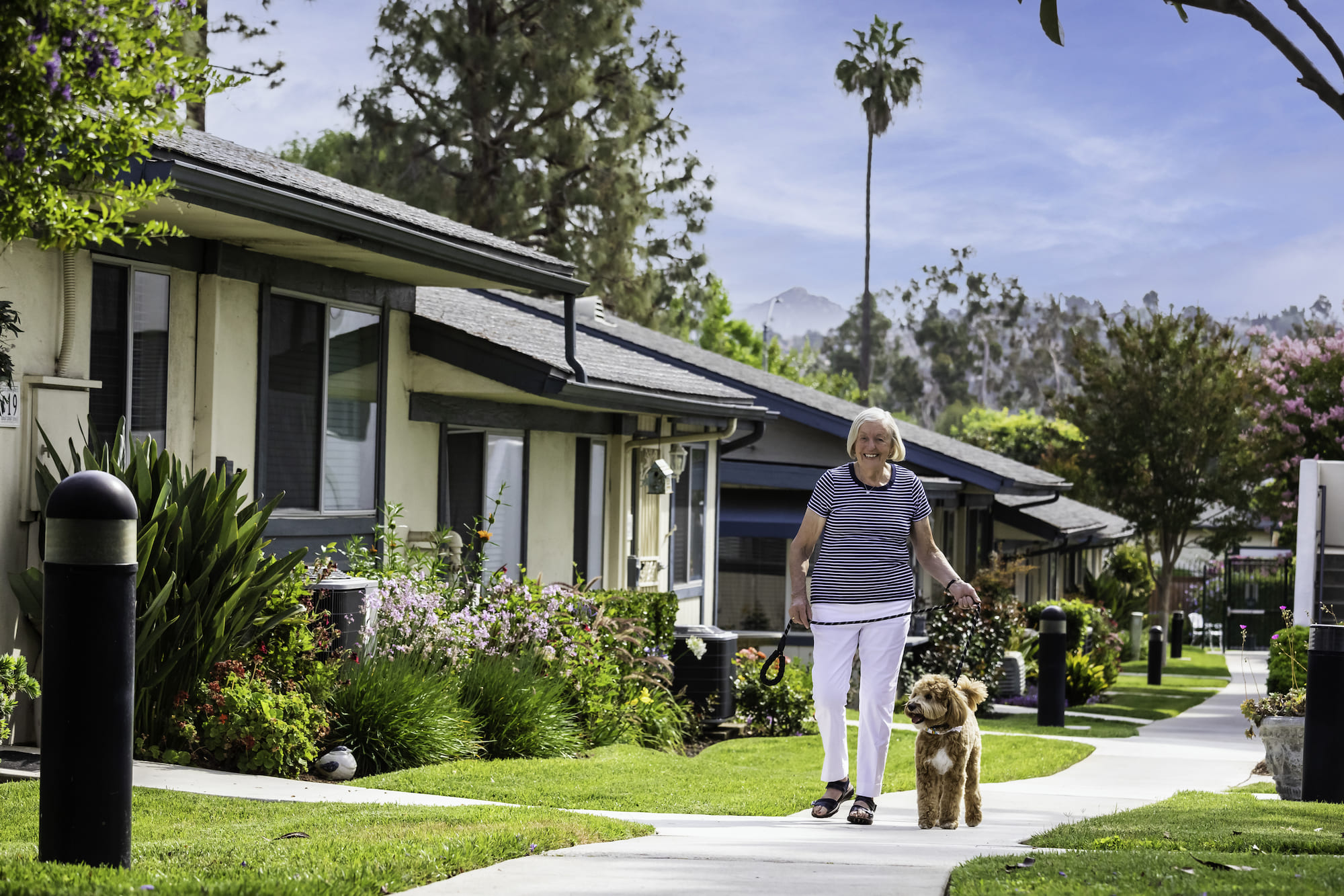 cottages walking paths w/dog